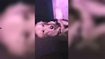 木木的吃瓜视频,揭秘娱乐圈幕后故事