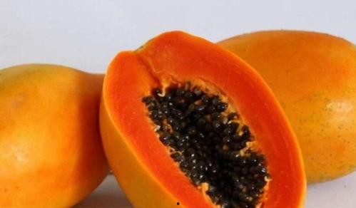 吃鸡瓜的功效,养生保健的天然良药，揭秘其神奇功效