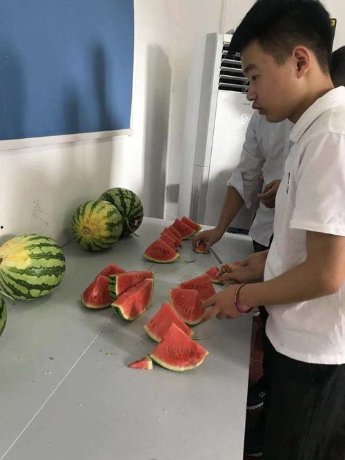 吃瓜比赛图片,一场视觉与味觉的双重盛宴