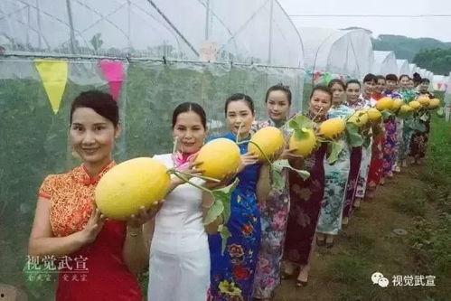 美少女吃瓜群众,揭秘娱乐圈幕后风云