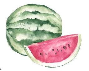 修面吃瓜,品味生活，笑对人生