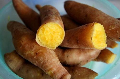 麻瓜吃番薯,番薯的奇妙之旅