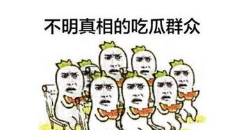我们也是吃瓜群众,揭秘娱乐圈幕后故事