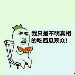 我们也是吃瓜群众,揭秘娱乐圈幕后故事