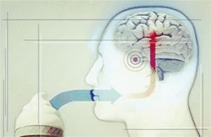 白瓜吃的上颚痛,白瓜食用引发上颚疼痛之谜探究