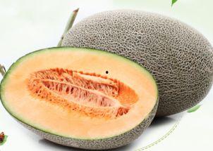 两岁半吃哈密瓜可以吗,哈密瓜美味探索之旅