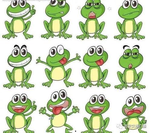 青蛙吃瓜插画头像,趣味盎然插画头像背后的故事
