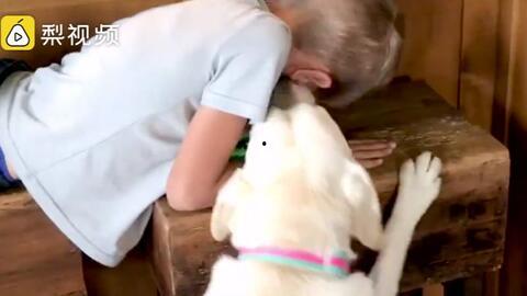 主人吃瓜视频,跟随主人视角，畅游娱乐圈风云录