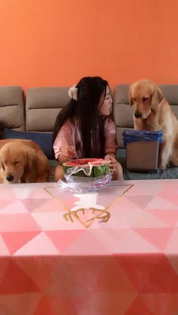 在线吃瓜颜狗,揭秘网络红人的幕后故事