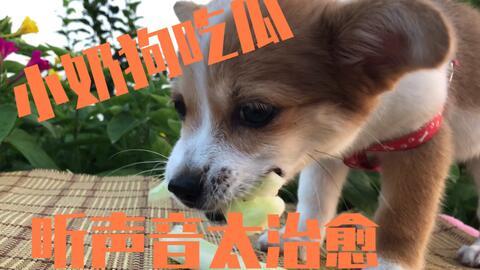 在线吃瓜颜狗,揭秘网络红人的幕后故事