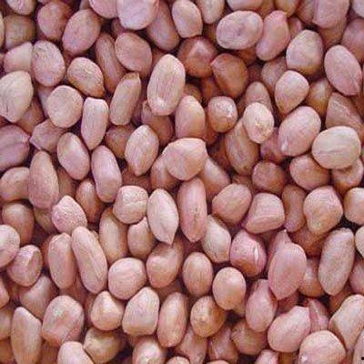 梦见种花喝酒吃花生瓜,种花、饮酒、花生瓜的奇幻之旅