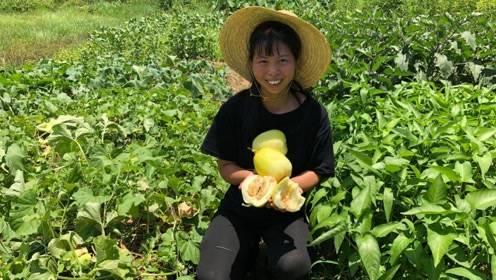 农村姑娘吃野瓜,农村姑娘的甜蜜回忆