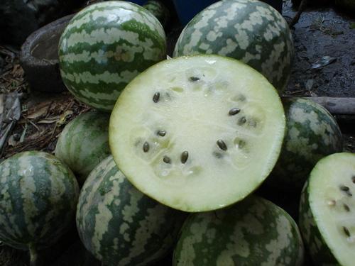 吃绿宝瓜吗,健康美味，你值得拥有