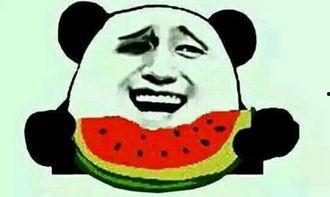 吃瓜身上刺挠,揭秘身上刺挠的神秘现象