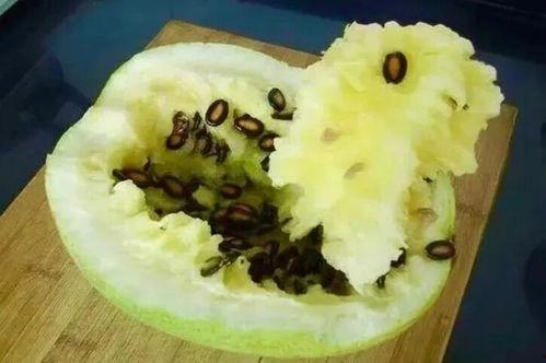 籽瓜可以怎么吃,解锁美味新吃法