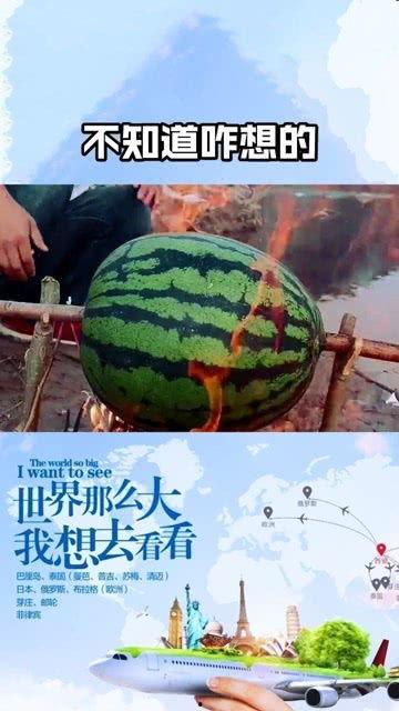 吃瓜小哥在巴盟,吃瓜小哥揭秘当地美食与文化