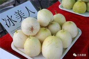 吃雪梨瓜的视频,轻松学会吃雪梨瓜的秘诀