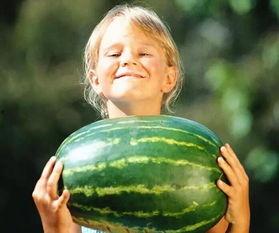 吃瓜的瓜怎么拼,揭秘“吃瓜群众”背后的故事