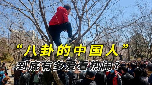 缅甸边境吃瓜现场,揭秘边境风情与民间故事
