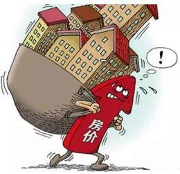 吃瓜群众有哪些政策,揭秘新时代下的社会观察与参与之道