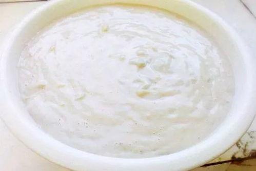 秦皇岛小岛吃瓜,夏日避暑吃瓜乐逍遥