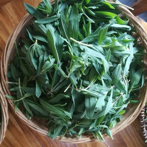 诸城常山吃瓜,瓜果飘香，品味夏日田园风情