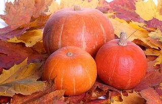 舌头瓜怎么吃效果最好