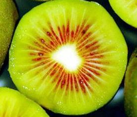 恩施白杨坪吃瓜