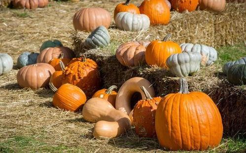 吃瓜站位,揭秘娱乐圈风云变幻背后的真实立场