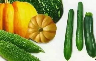 天涯 吃瓜2.0,揭秘网络热议背后的真相与笑料