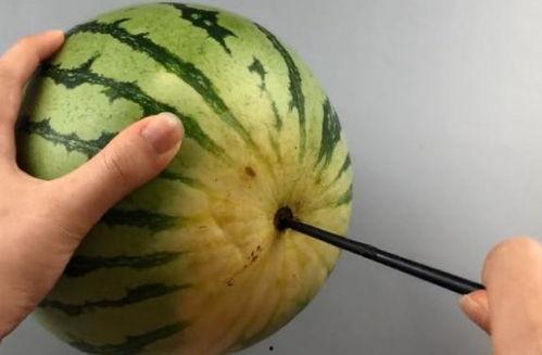 吃瓜的操作,一场全民参与的娱乐盛宴