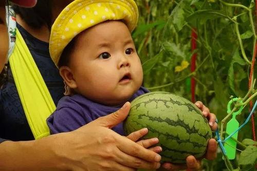 吃瓜群众金女士,揭秘娱乐圈那些事儿