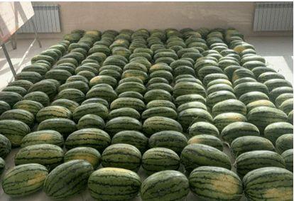 贵阳的校园吃瓜,一网打尽校园“吃瓜”攻略