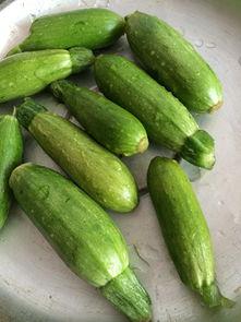 小瓜怎样做着吃