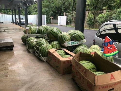 上海吃瓜昆山,揭秘昆山美食文化之旅