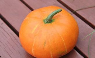 吃药可以吃小瓜吗,小瓜可否成为美食伴侣？