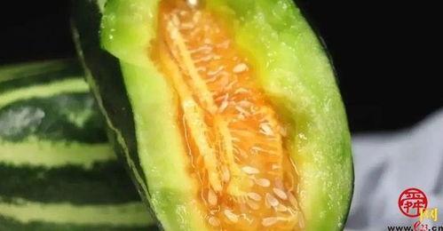 吃药可以吃小瓜吗,小瓜可否成为美食伴侣？