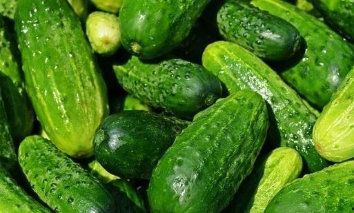 带你吃瓜奇葩黄瓜,带你领略“带你吃瓜奇葩黄瓜”的独特魅力