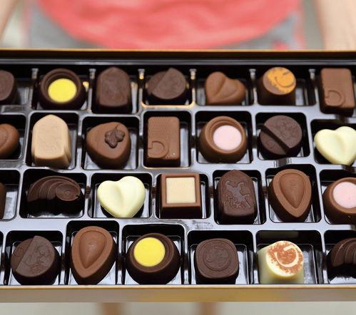 瓜仔吃巧克力,瓜仔巧克力的甜蜜冒险