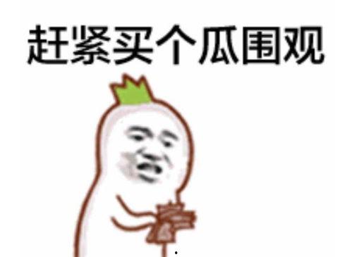 吃瓜群众惊喜视频,一场视觉盛宴的狂欢