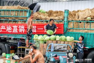 日照最新吃瓜事件,最新吃瓜事件揭秘