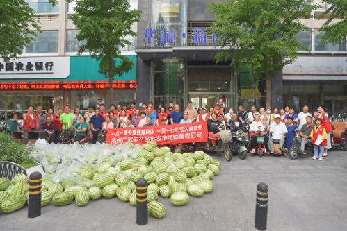 郑州师范吃瓜解说,校园热点背后的趣味解读