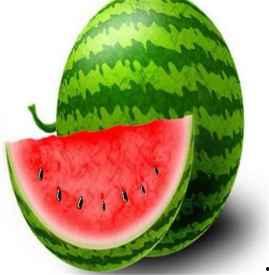 吃荷兰瓜会胖吗,吃荷兰瓜真的会发胖吗？