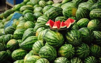 吃荷兰瓜会胖吗,吃荷兰瓜真的会发胖吗？