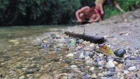 吃瓜现场女生打架,女生激烈打架，场面一度失控