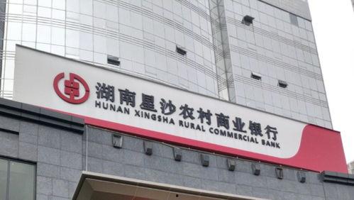 厦门吃瓜银行,趣味金融体验新风尚