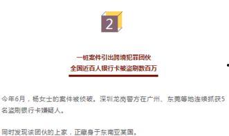 厦门吃瓜银行,趣味金融体验新风尚