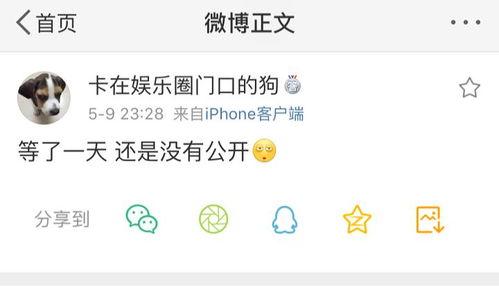 吃瓜爆料视频开头