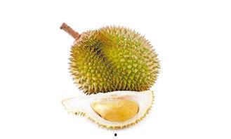 吃榴莲能吃小白瓜吗,探索两者搭配的饮食奥秘