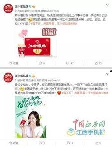 吃瓜公众号项目,带你走进娱乐圈的幕后故事